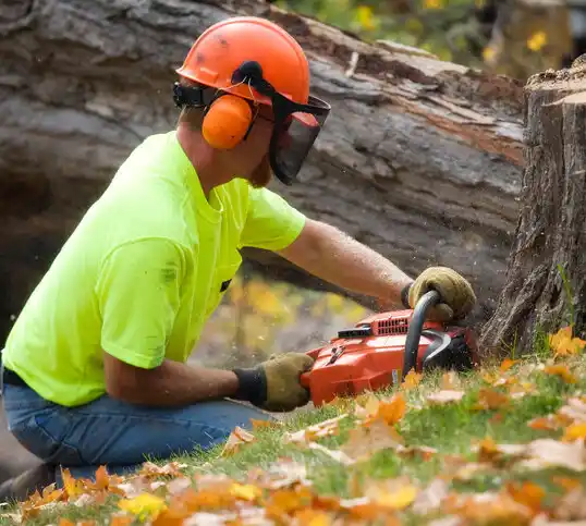 tree services Bayou Country Club